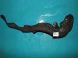 Black Roughscale Catshark