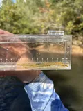 Naked Sand Darter, photographed in Alabama