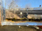 Least Madtom, photographed in Tennessee