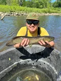 Bowfin, photographed in Ohio