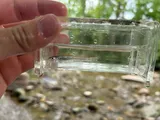 Silverjaw Minnow, photographed in Ohio