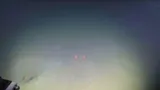 Wenchman