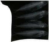 Middling Thread Herring
