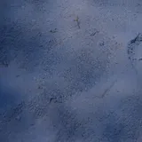 Eyed Flounder, photographed in Quintana Roo