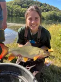River Redhorse, photographed in Pennsylvania