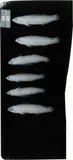 Bloodfin Darter