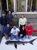 Megamouth Shark, photographed in Baja California Sur