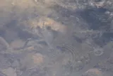 Goldspotted Killifish, photographed in Florida