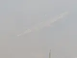 Spotted Gar, photographed in Texas
