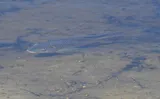 Blue Tilapia, photographed in Florida