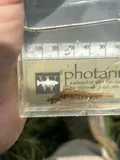 Iowa Darter, photographed in South Dakota