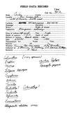 Scrawled Sole
