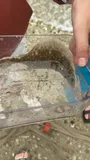 Summer Flounder, photographed in New Jersey