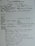 Pacific Anchoveta