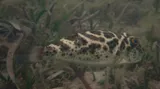 Checkered Puffer, photographed in Monte Cristi