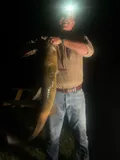 Flathead Catfish, photographed in Texas