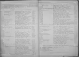 Big-eye Anchovy, photographed in Florida