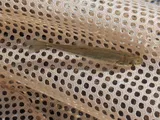 Virgin Spinedace, photographed in Utah