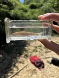 Mississippi Silvery Minnow, photographed in Alabama
