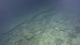 Deepwater Longtail Red Snapper