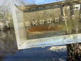 Lined Topminnow, photographed in North Carolina