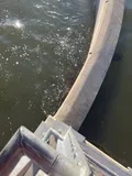 Muskellunge, photographed in Wisconsin
