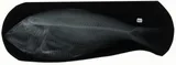 Finescale Menhaden, photographed in Tamaulipas